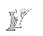 Y